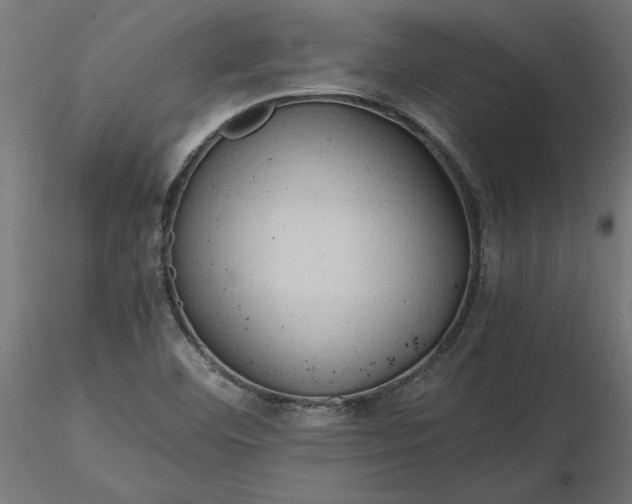 X0000116681460200912291709