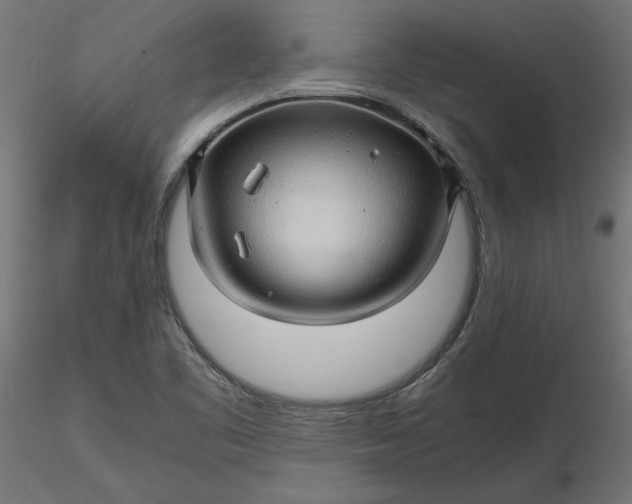 X0000116681461200912291709