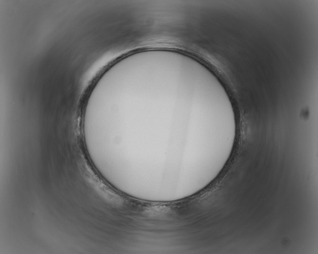 X0000116681462200912291709