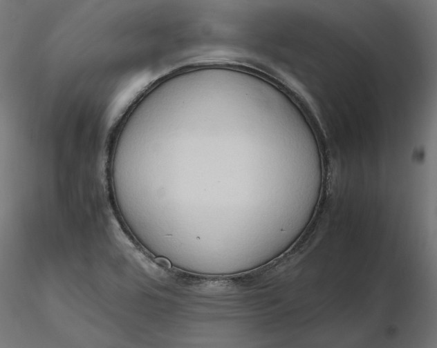 X0000116681464200912291709