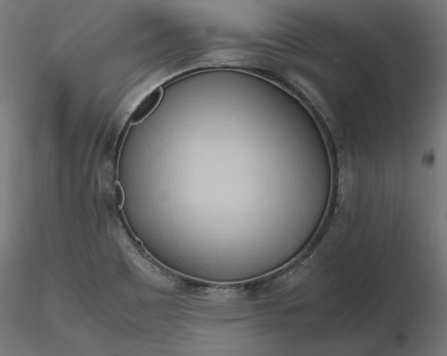 X0000116681465200912291709