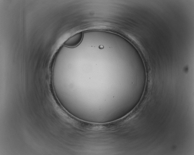 X0000116681467200912291709