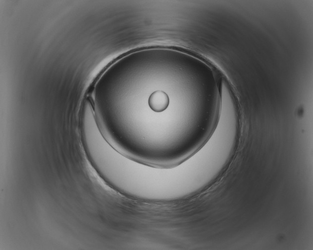 X0000116681468200912291709