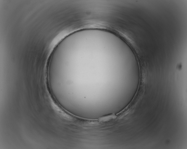 X0000116681471200912291709