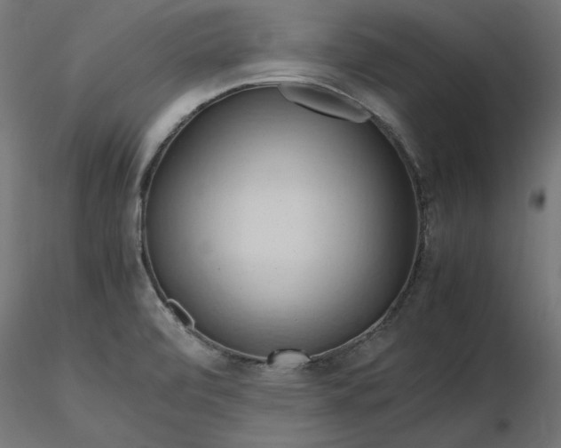 X0000116681472200912291709