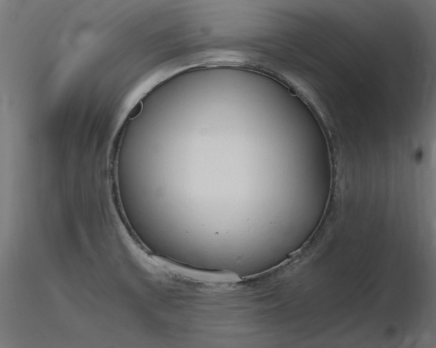 X0000116681475200912291709