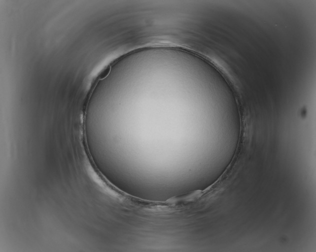 X0000116681476200912291709