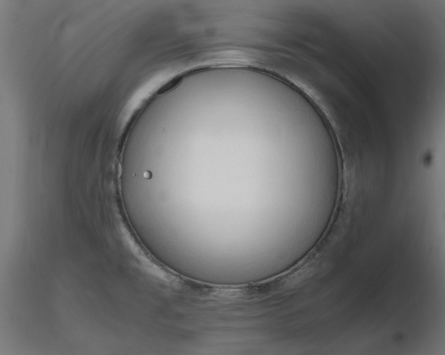 X0000116681477200912291709