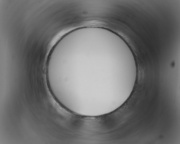 X0000116681478200912291709