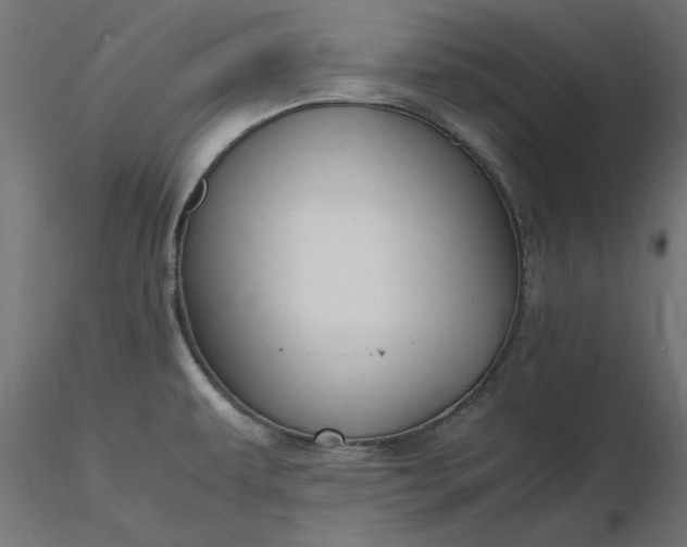 X0000116681479200912291709