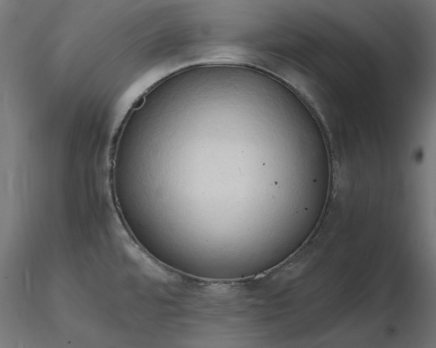 X0000116681480200912291709