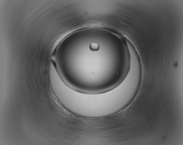 X0000116681481200912291709