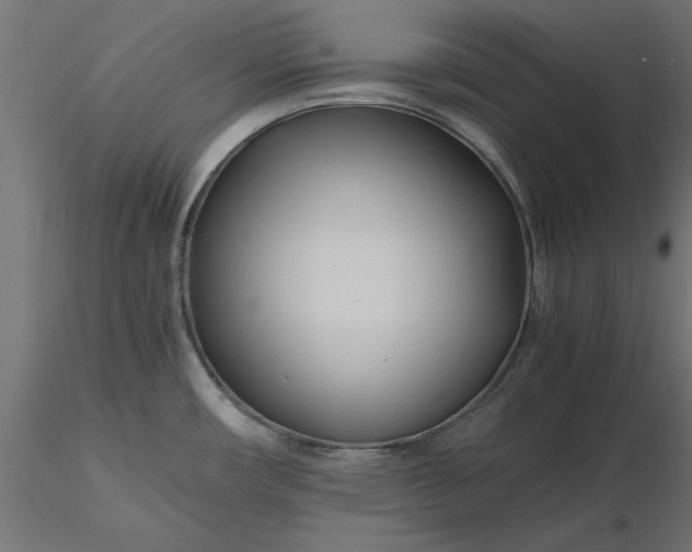 X0000116681482200912291709