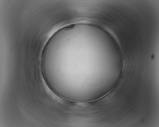 X0000116681483200912291709