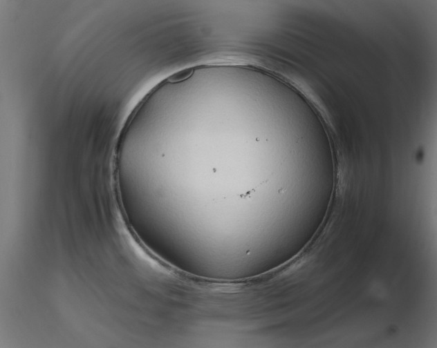 X0000116681484200912291709