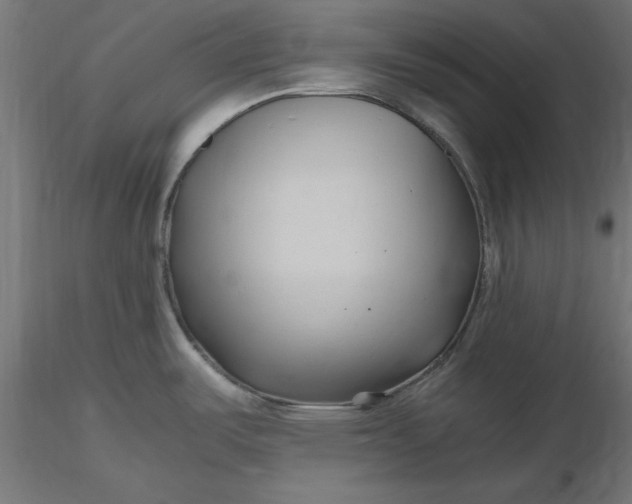 X0000116681487200912291709