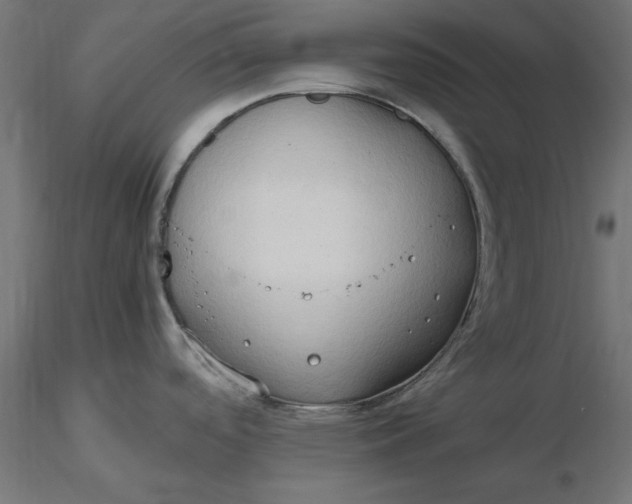 X0000116681488200912291709