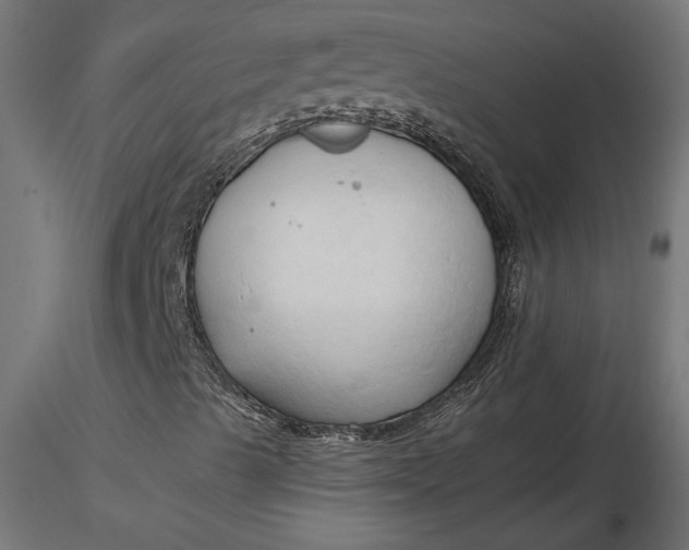 X0000116681489200912291708