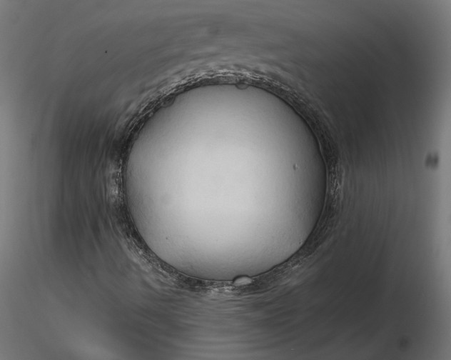 X0000116681490200912291708