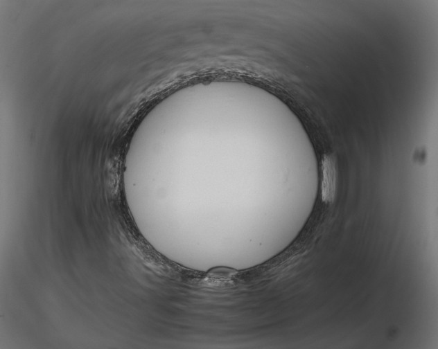 X0000116681491200912291708