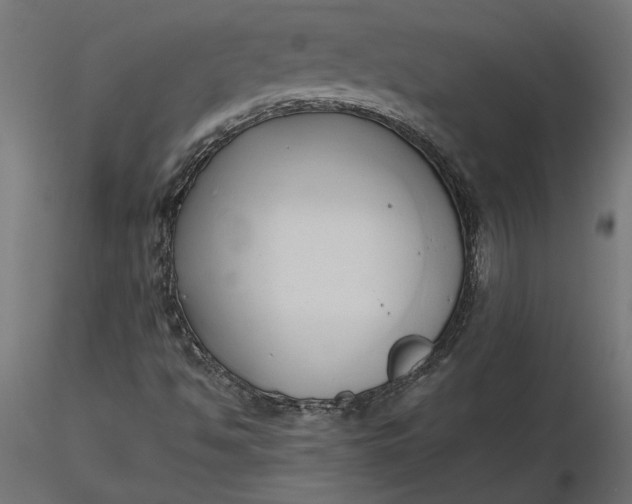 X0000116681494200912291708