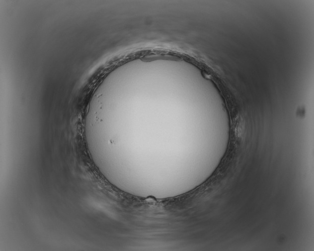 X0000116681495200912291708