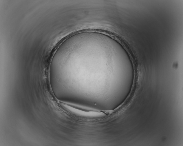 X0000116681497200912291708