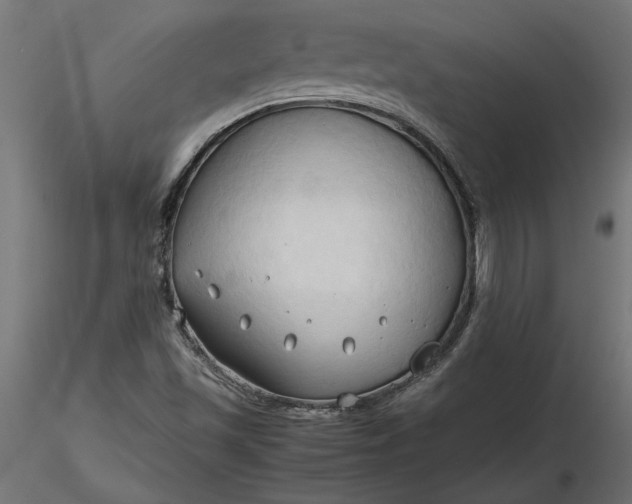 X0000116681501200912291708