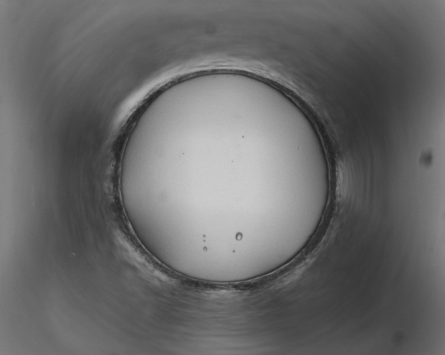 X0000116681502200912291708