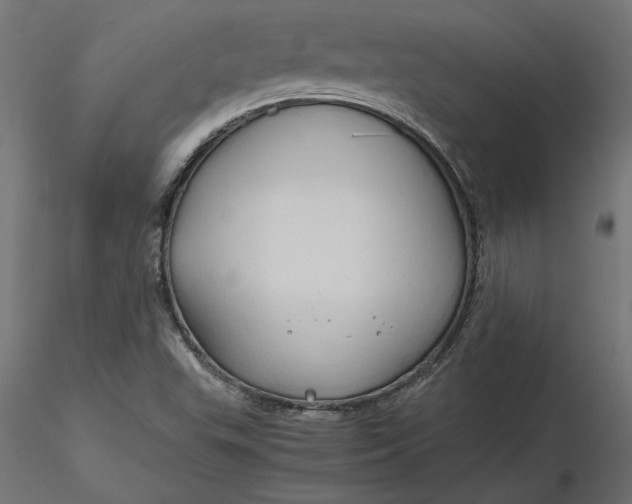 X0000116681503200912291708