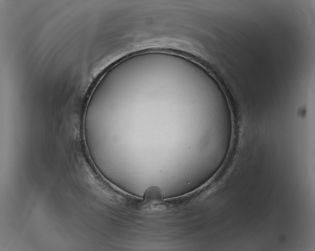 X0000116681505200912291708