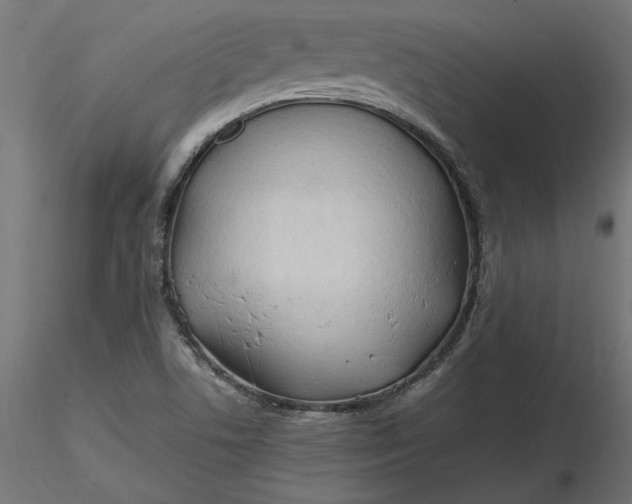 X0000116681506200912291708