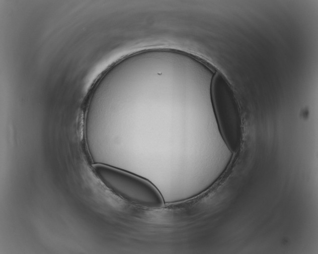 X0000116681510200912291708