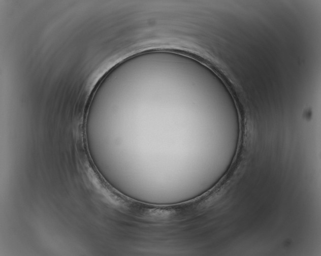 X0000116681513200912291708