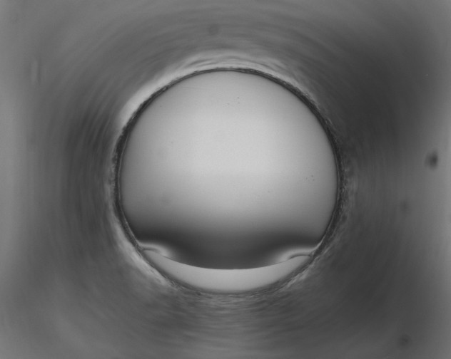 X0000116681518200912291708