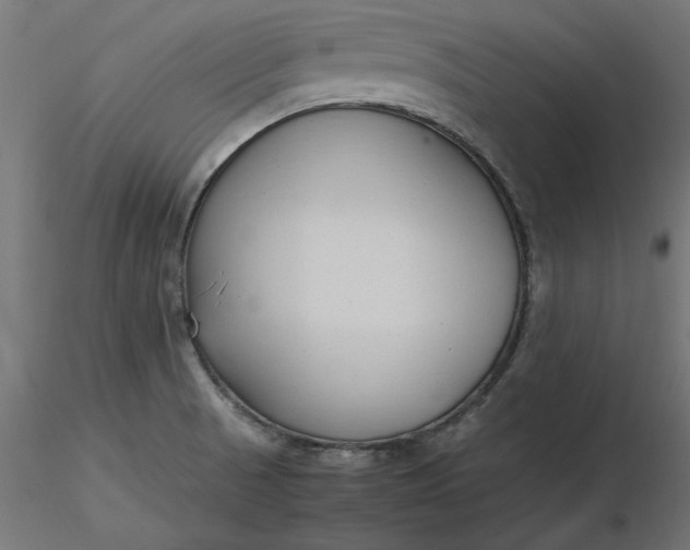 X0000116681521200912291708