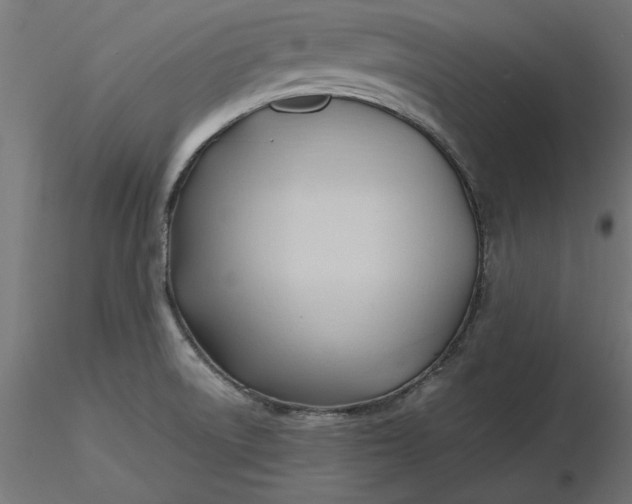 X0000116681522200912291708