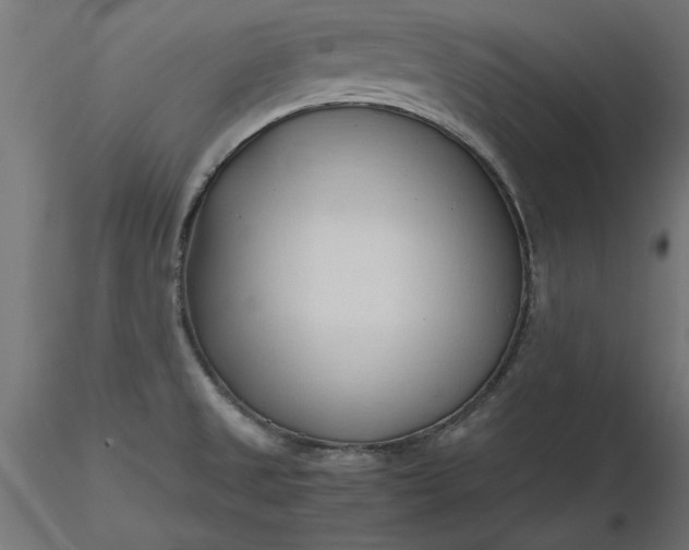 X0000116681525200912291708