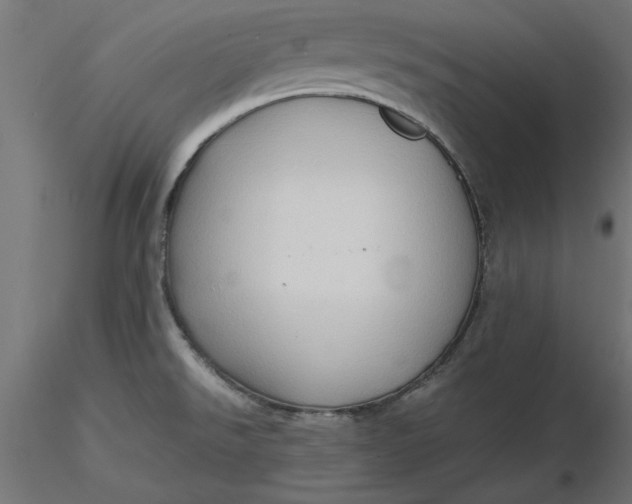 X0000116681526200912291708