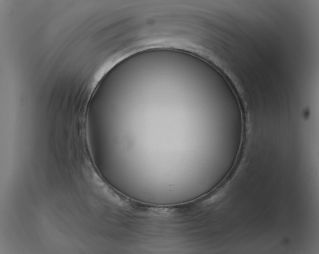 X0000116681529200912291708