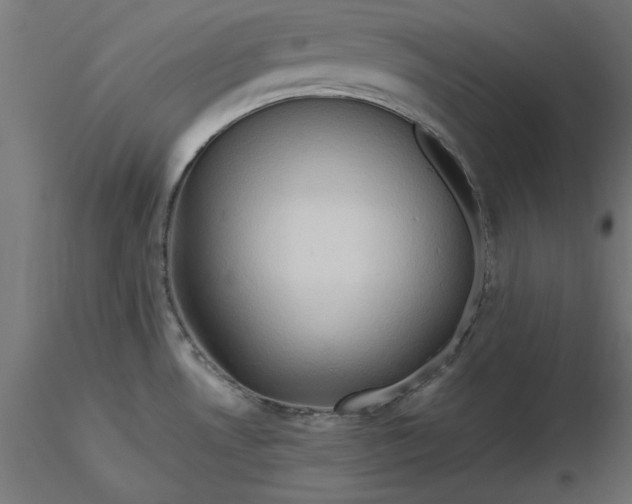 X0000116681530200912291708