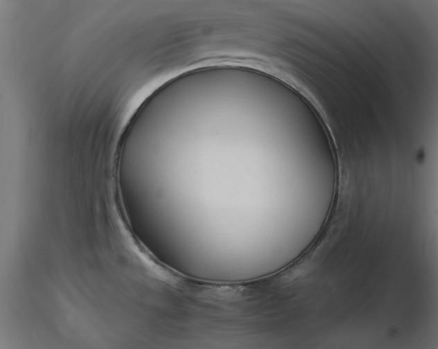 X0000116681533200912291709