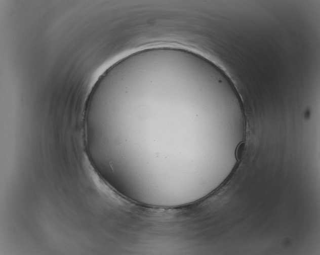 X0000116681534200912291709