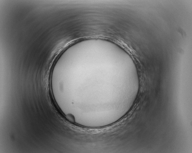 X0000116680002201001041158