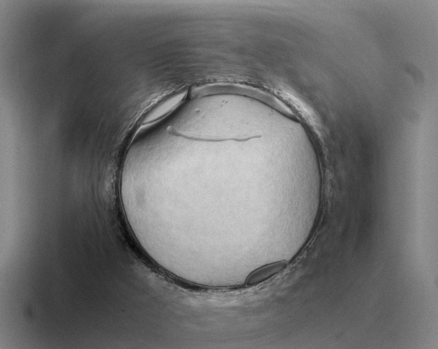 X0000116680009201001041158