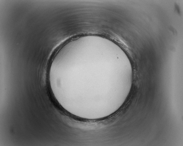 X0000116680012201001041157