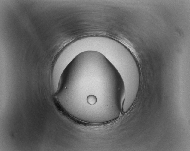 X0000116680013201001041157