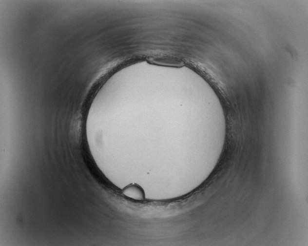 X0000116680016201001041157