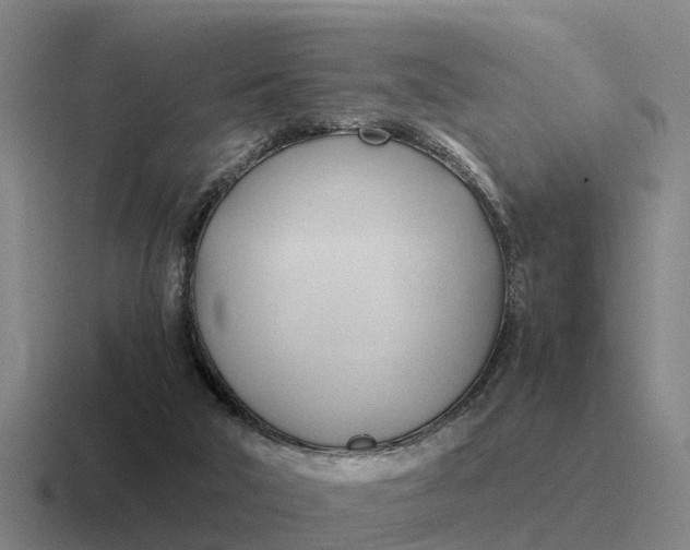 X0000116680018201001041157