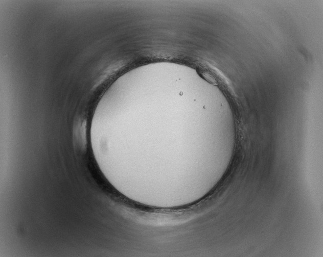 X0000116680020201001041157